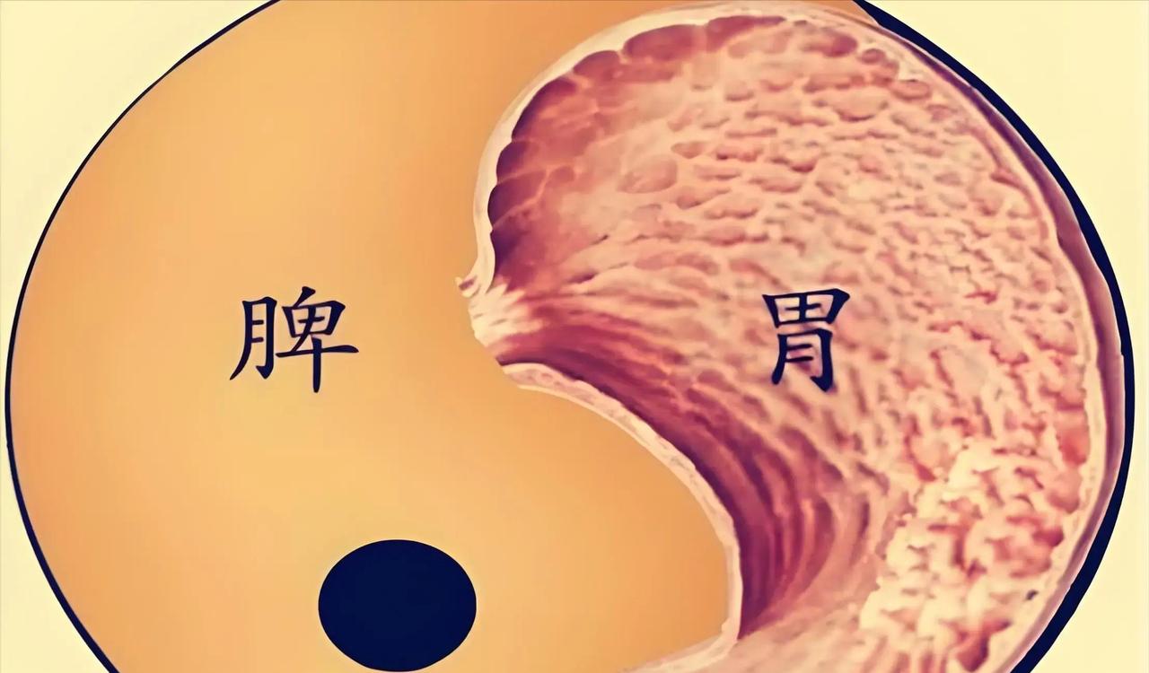 湿热困身三年难消，很多人胸闷鼻塞黄涕、腹胀便黏马桶、小便短黄带下稠，单靠薏苡仁喝