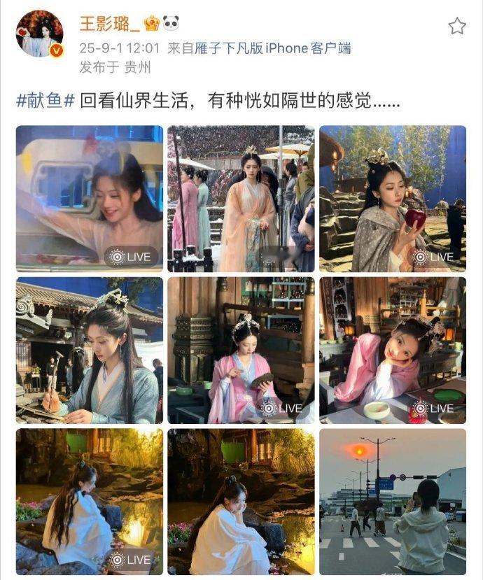 王影璐回看献鱼恍如隔世看王影璐从廖停雁的失忆到完整体回归，每个瞬间都触动心弦