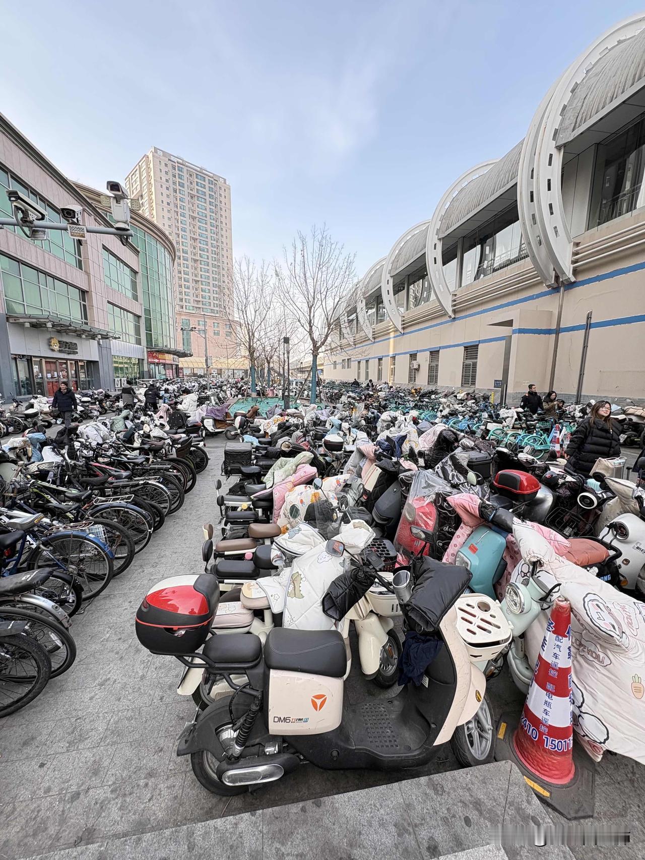 南电鸡北电驴暴增之困：不是不管，时候未到？大概十年往前吧，那时去南方出差，被马