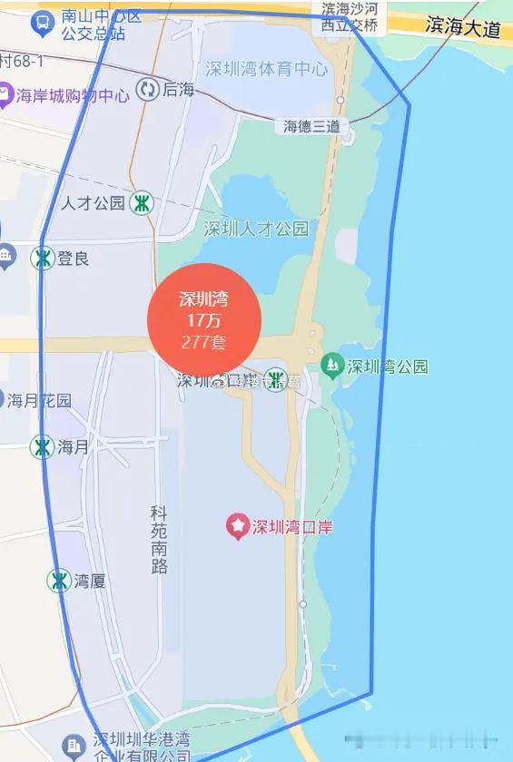 深圳湾是公认的“深圳第一豪宅区”，恒裕滨城、深圳湾1号等楼盘吸引了一批newm