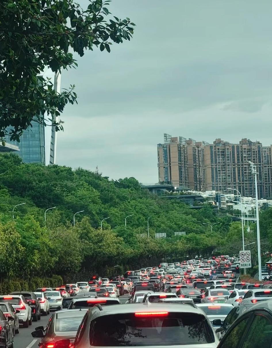南宁大堵车！今天才29号啊！五一还没到啊，大家提前出门了吗？看来打死我也不出
