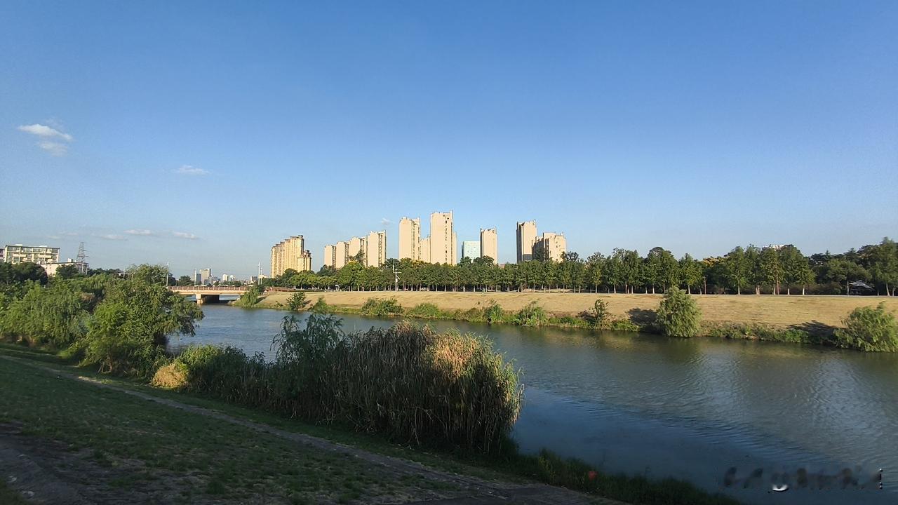 南京这天气最近真的像开盲盒，大部地区昼夜温差直接拉到10℃，未来几天最高温稳在3
