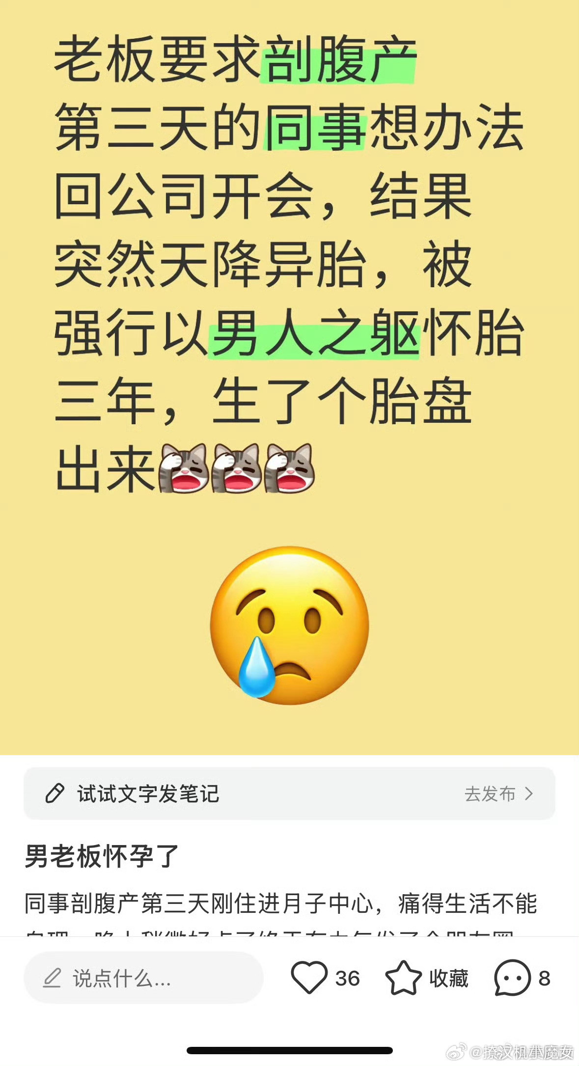 小红书现在流行拿老板起号，号起不起得来已经无所谓了，感觉贴主已经沉浸在自己的艺术