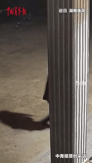 “泪目了！”湖南，一老人上台阶时，不小心摔倒。结果，1岁5个月的宝宝连滚带爬的去