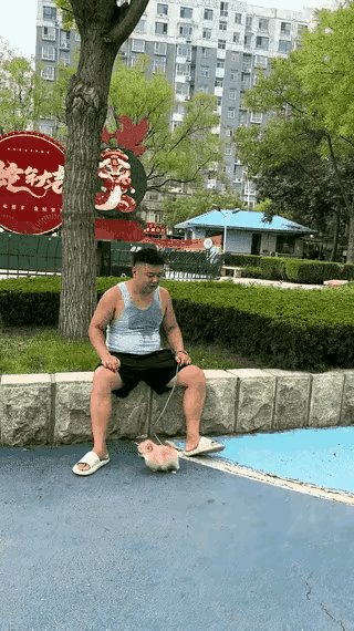 笑喷了！一男子坐在路边热得大汗淋漓，手里牵着的小狗做梦都没想到，自己竟成了男子手