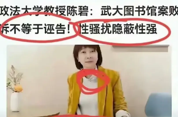 万能的网友，请你们扒一扒这个中国政法大学的陈碧教授，看看她发表了哪些论文，她指导