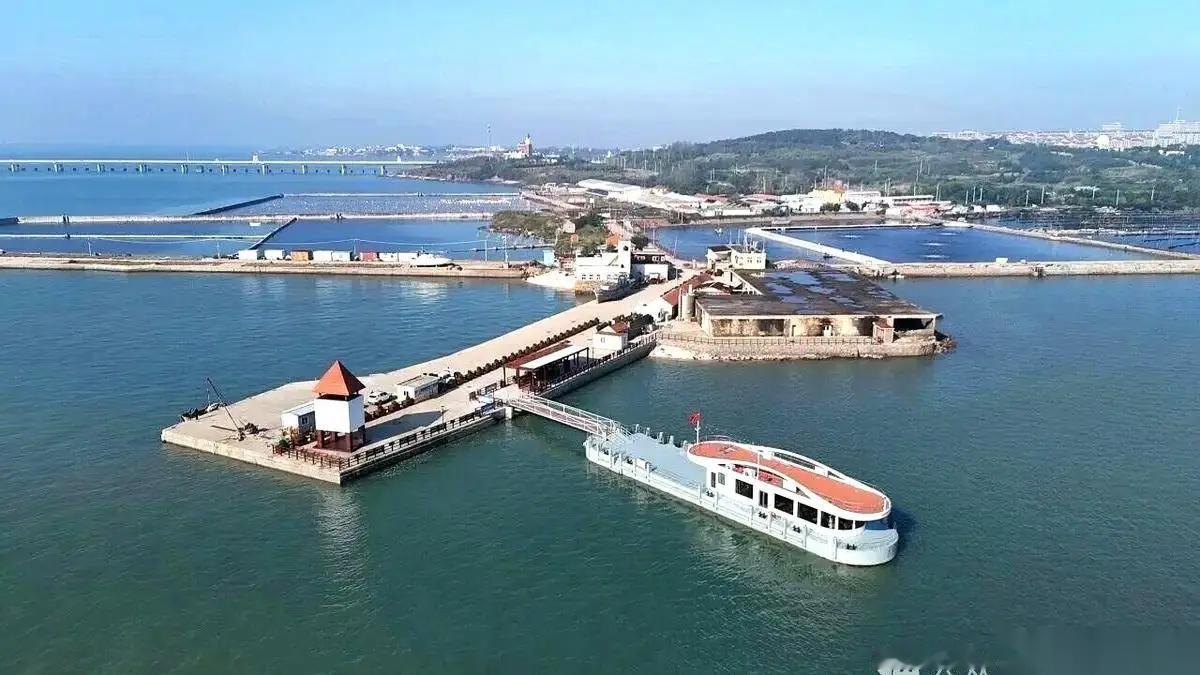 青岛胶州湾跨海大桥新航线震撼启航！30分钟海上穿越见证沧口湾巨变，票价惊人却值得