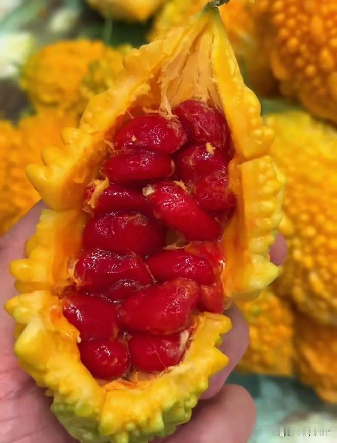 嘉祥县·疃里镇｜癞葡萄（金铃子）特色种植镇疃里镇地处嘉祥县域近郊，鲁西南癞