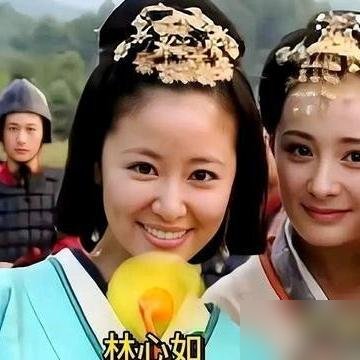 林心如当年拒演《美人心计》，理由就仨字：太热了。横店夏天四十多度，她一听就跑了。结果于正没换人，剧本