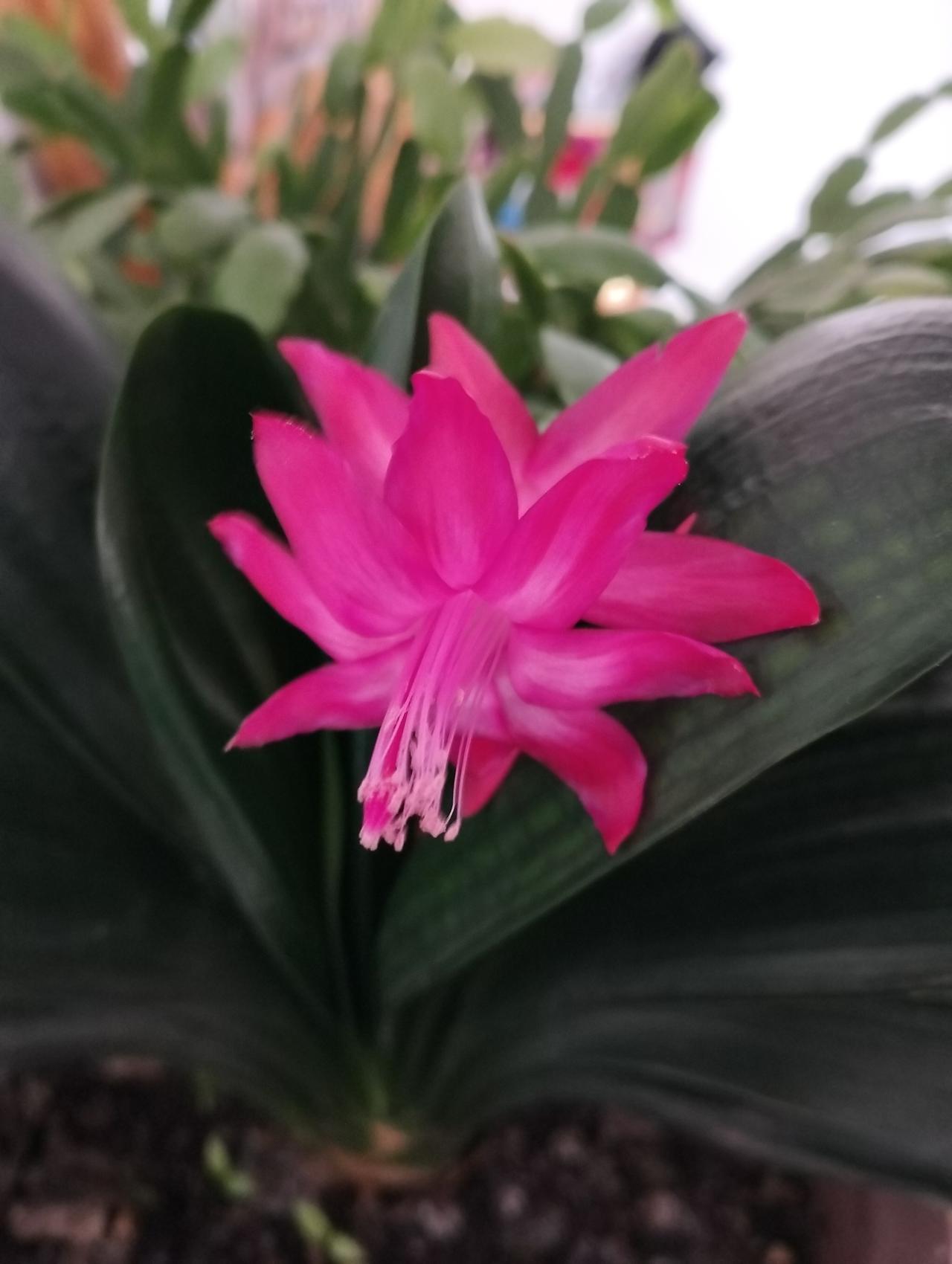 记住，千万别婚内出轨！即使，情人关系再好，哪怕维持三年五载终有一日彼此都会躺