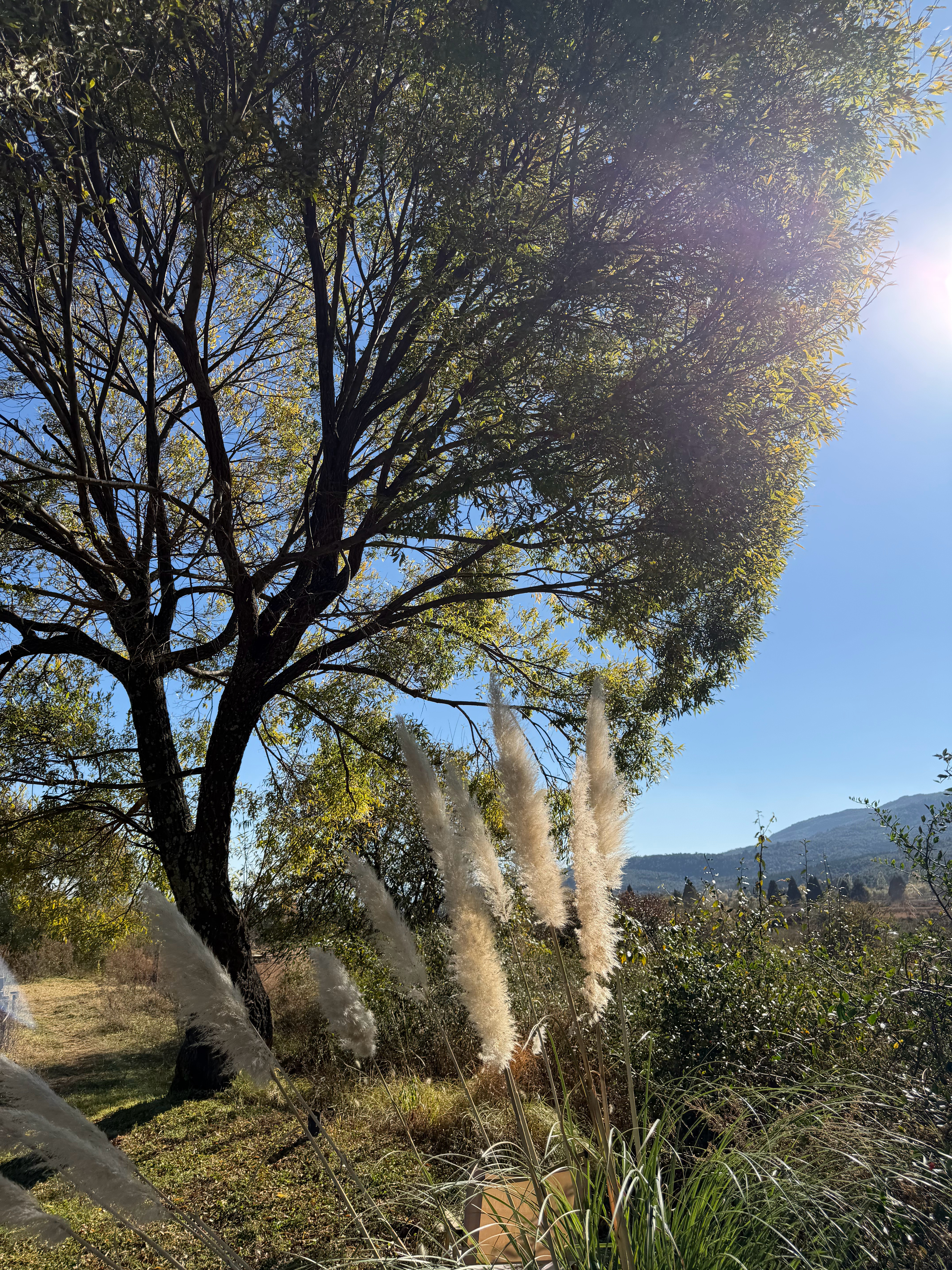 人生这一辈子，每过一段时间，自己的心智就应该有所成长并得到更新，这是人生最起码且