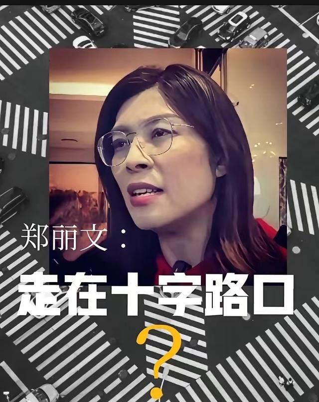 辛辛苦苦又跌跌撞撞地走过一百二十天！新当选的国民党主席郑丽文已实际走在了一个乌云