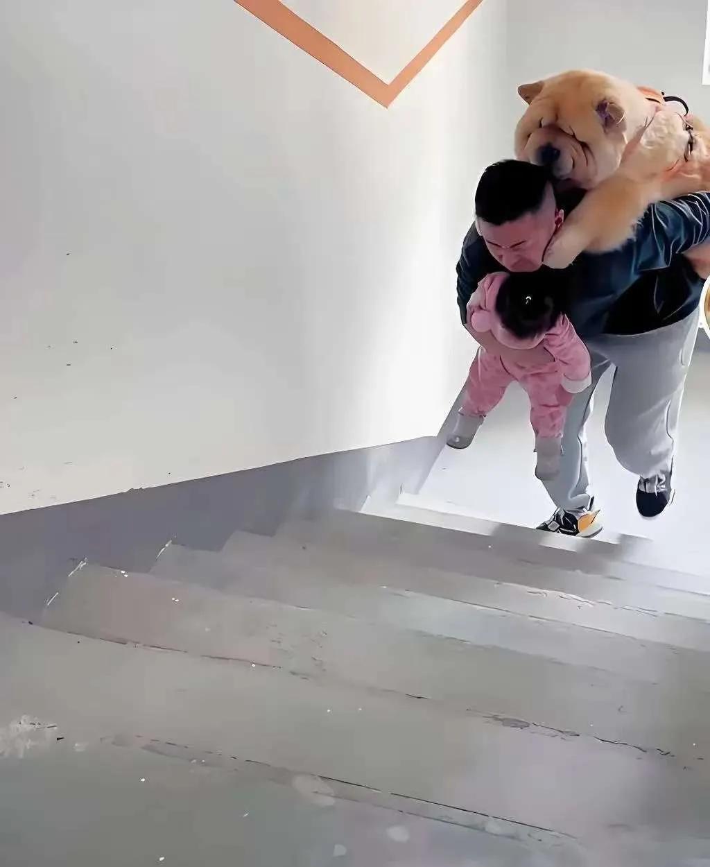 限狗令引发热议，这把养狗和不养狗的人都整蒙了。养狗必须遵守外出时牵狗绳、带狗罩、