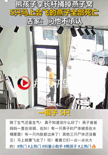 天生坏种！江苏扬州，一女子外出吃饭，一孩童手持长杆将其屋檐下辛勤筑好的燕窝残忍捅