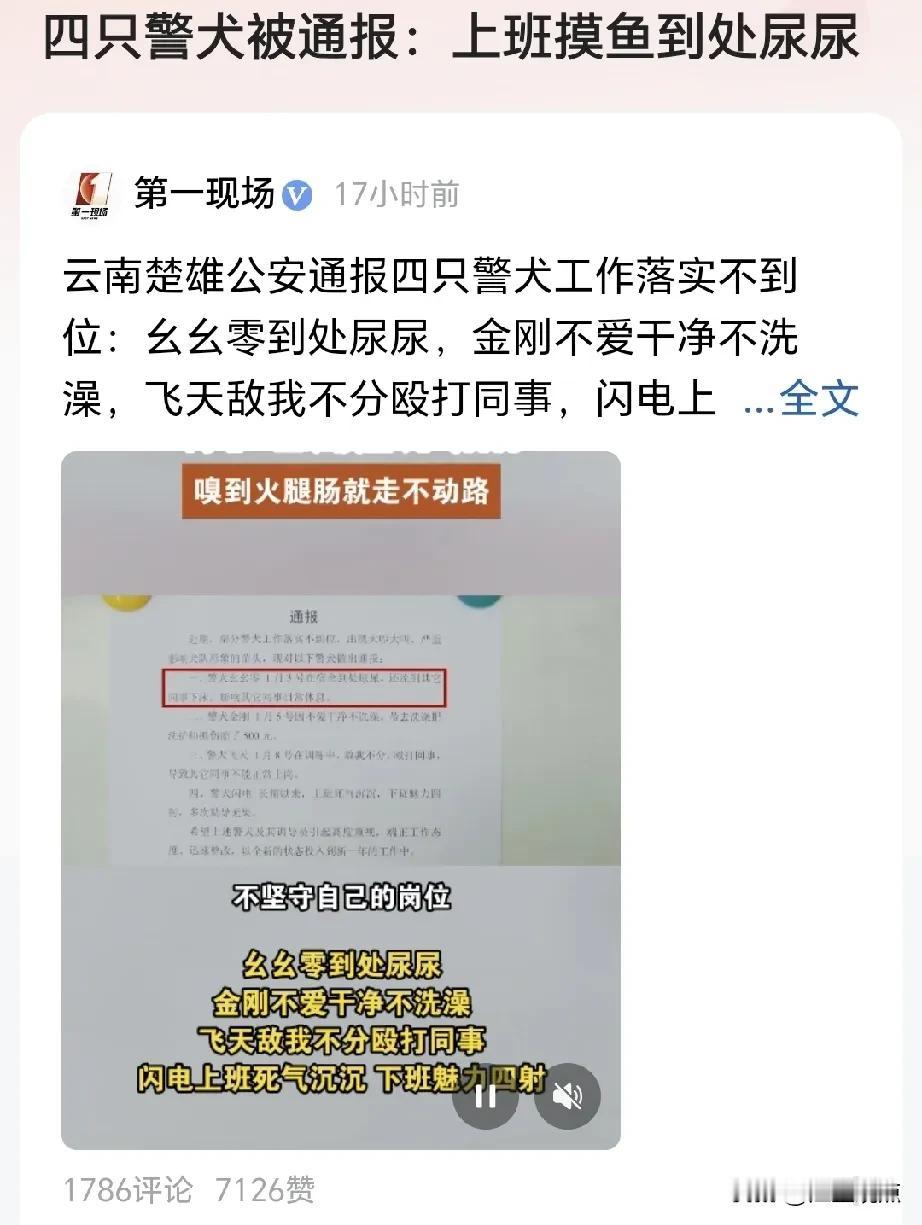 【云南4只警犬被通报批评】[捂脸哭]看了通报内容，我笑喷了，有“上班摸鱼的”，有