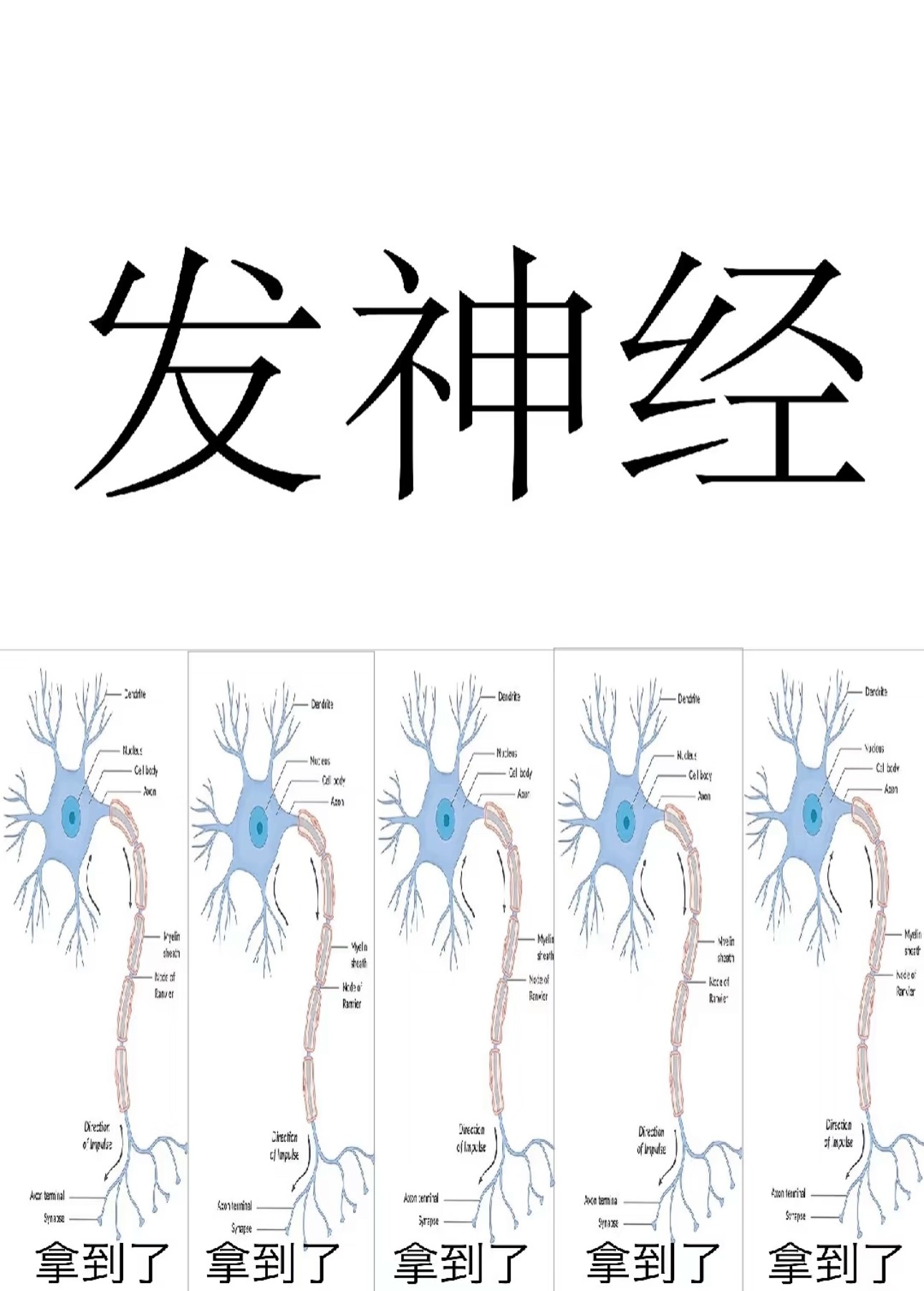 喜欢一些互动性很强的谐音梗传单[赞]春日放个疯​​​