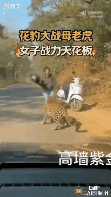 女子骑摩托春游，路边停车想方便，突然一只豹子直接扑过来！换普通人早吓瘫了，这女子