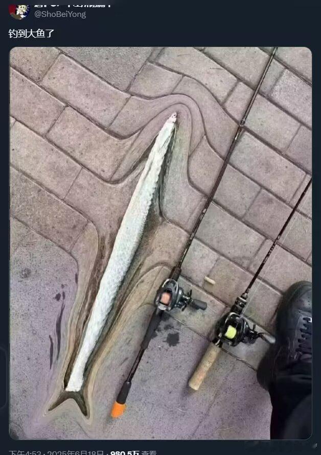 钓鱼佬发力了​​​
