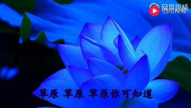 1196198910546030055.jpg?id=0