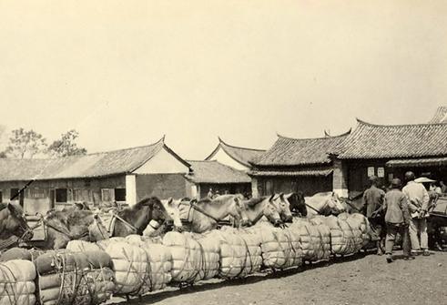 这是1922年在云南拍摄的一张照片，照片纪录的是一支运输商队，正在车马大店休整的
