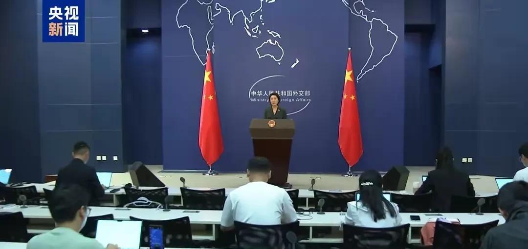 据外交部发言人毛宁称，巴基斯坦副总理兼外长达尔将于5月19~21日来华访问。这