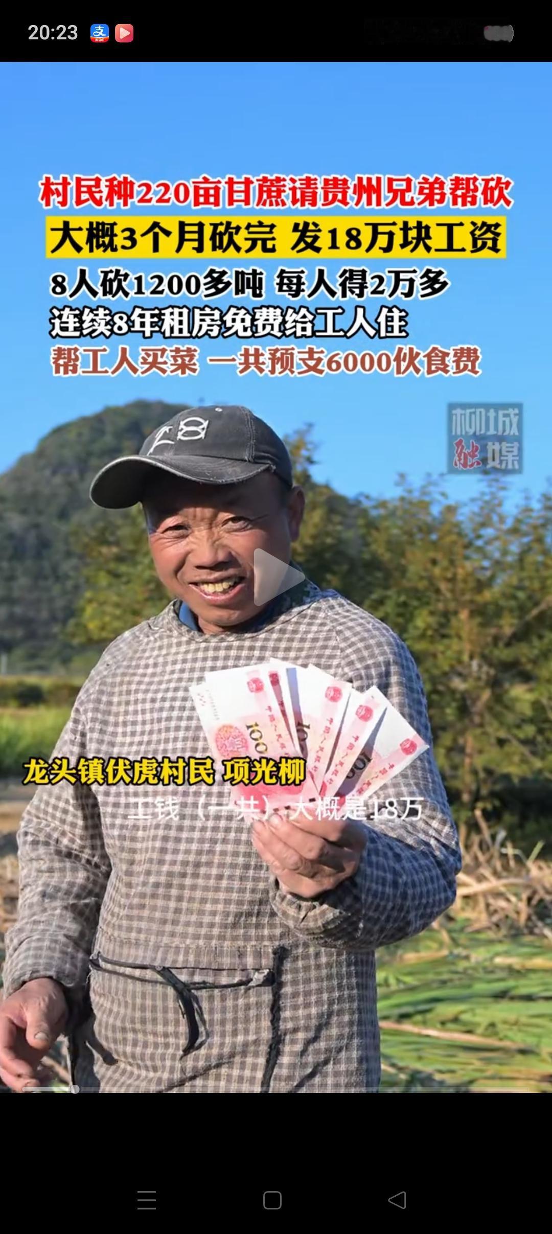村民种220亩甘蔗请贵州兄弟帮忙砍，8个人3个月分了18万工资，每个人大概200