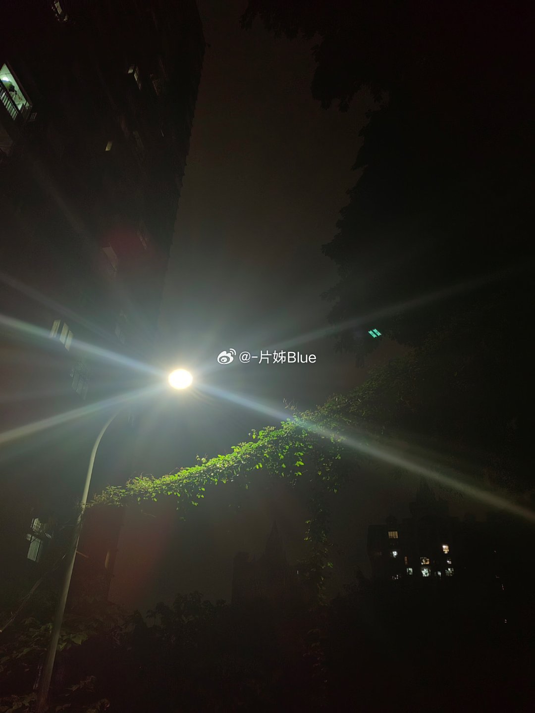 昨天宜宾的地震我终于有了一种晕眩的感知不再是后知后觉的毫无感知了其实重庆的震感还