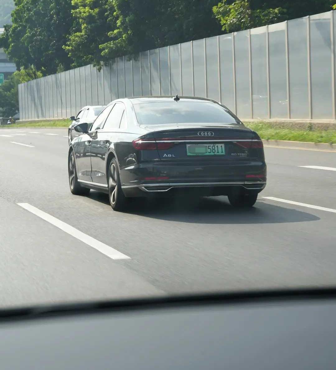 网友：想要豪车的面子，就不要考虑省油的里子，如果要省油，就不要买“杂牌”电动车了