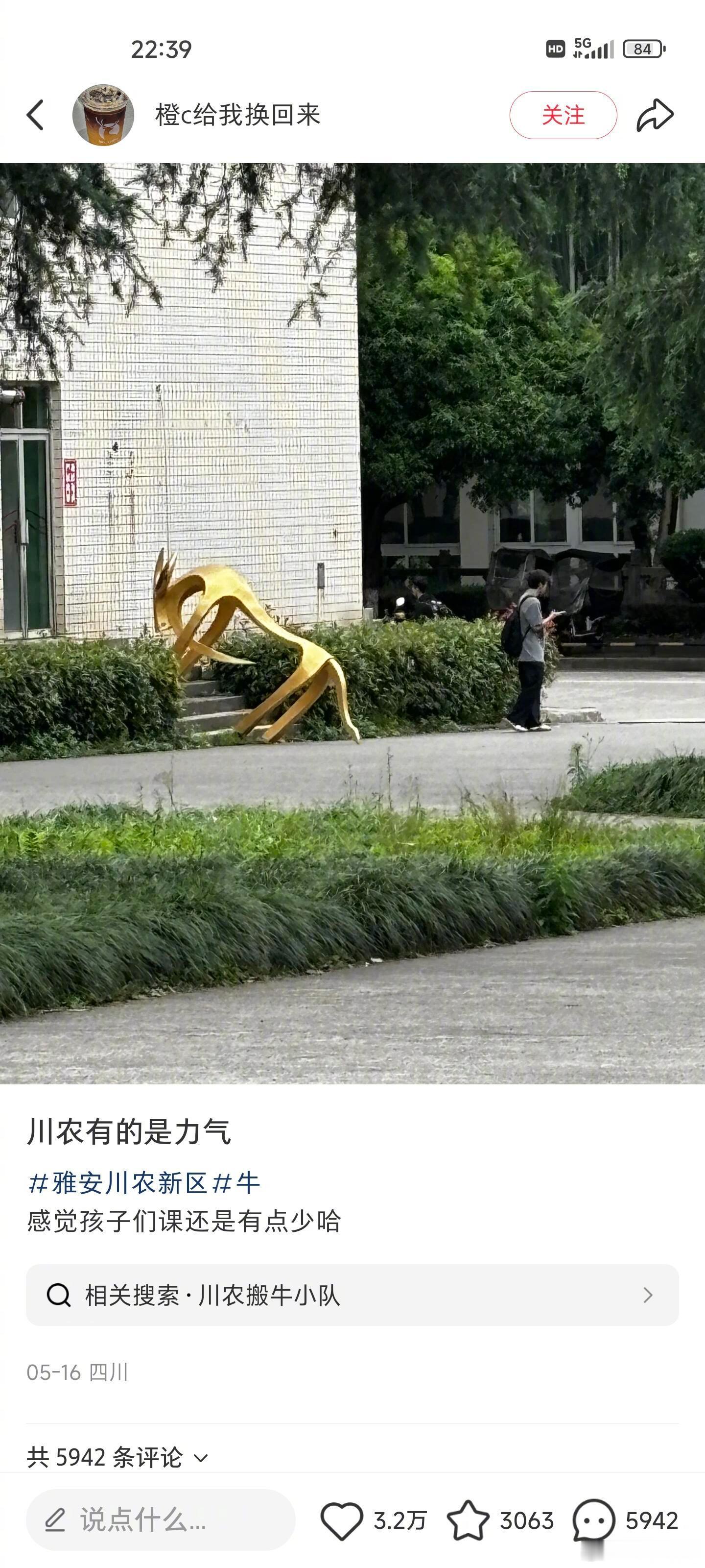 果然人干坏事的时候不嫌累！！川农的这个牛就是最好的证明哈哈哈哈哈​​​