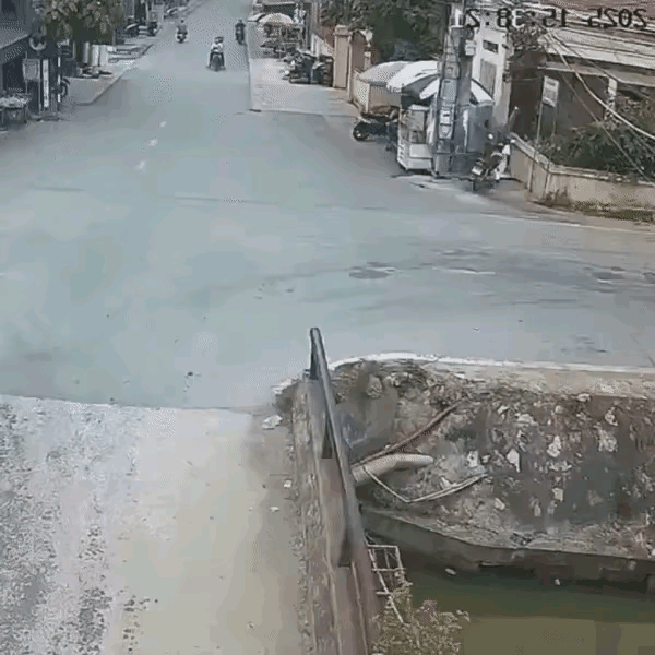 是兄弟就一起下河，后面这个怎么回事