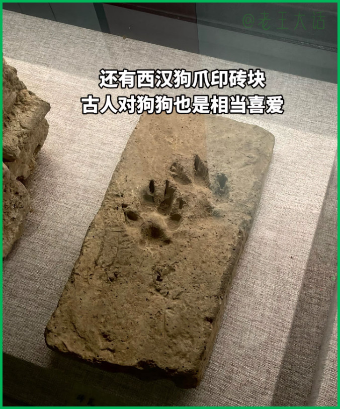 未被遗忘的印记是千年狗狗的留言，我中华文化延绵，千古对话也是一种浪漫。