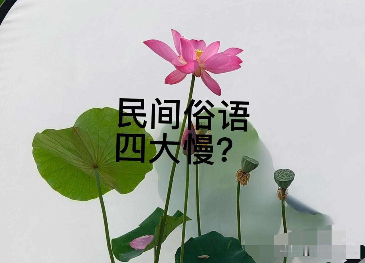 民间俗语：四大慢，指的是什么？