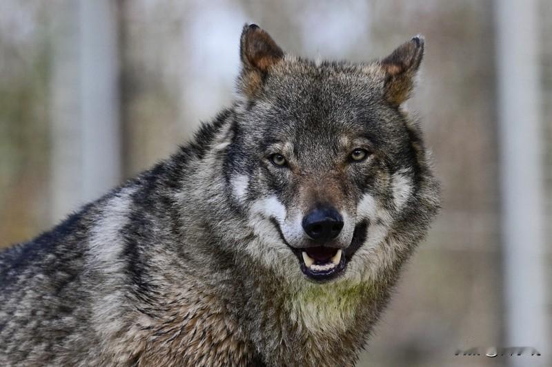 说话这样的人不要深交。1.说话难听的人。嘴上总打着“心直口快”的旗号，肆意