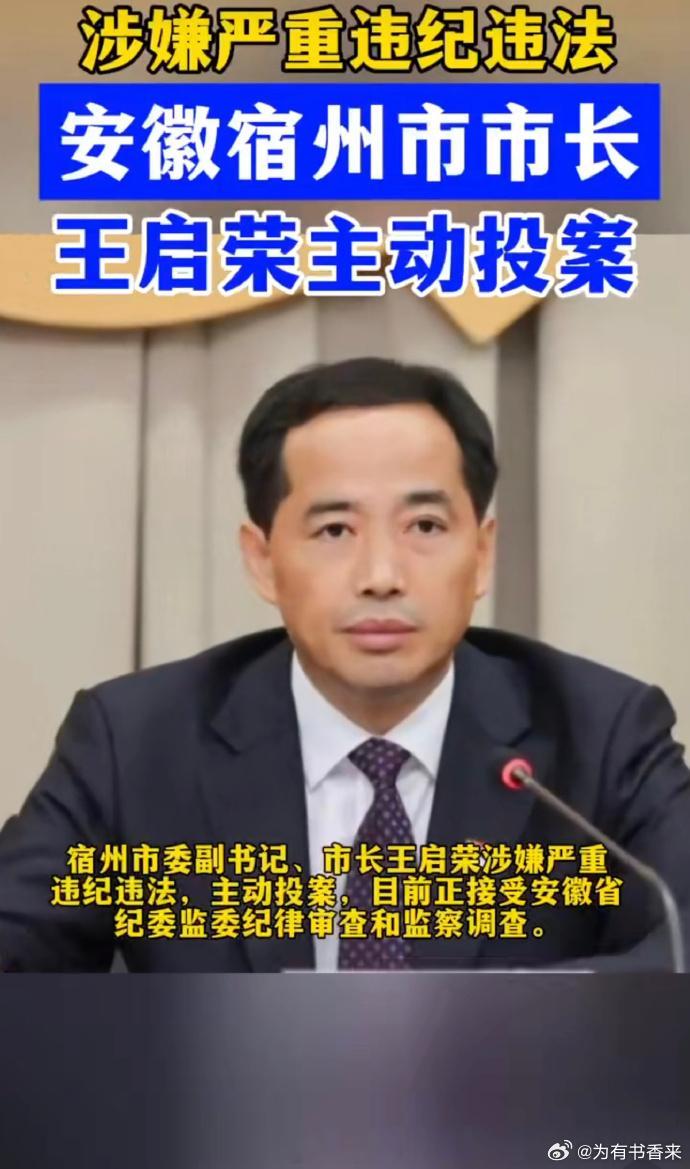 安徽一市市长主动投案主动投案一般分这几种情况：一是以前的同案犯进去了，自己知道