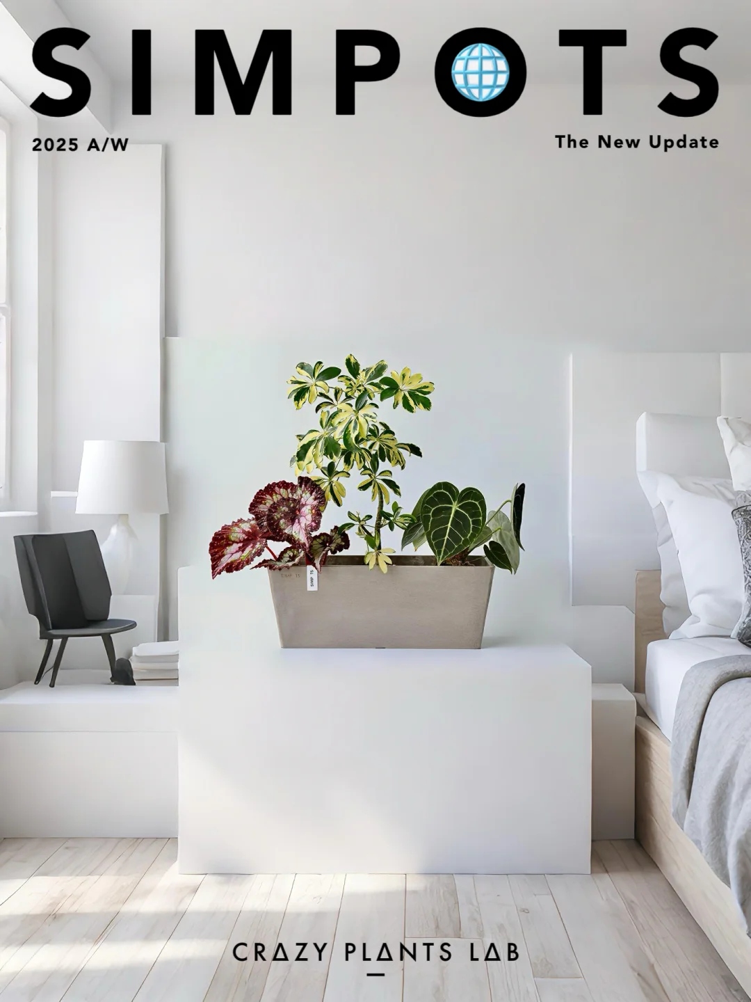 🏠 阳台党天菜，植物拼拼乐信手拈来！