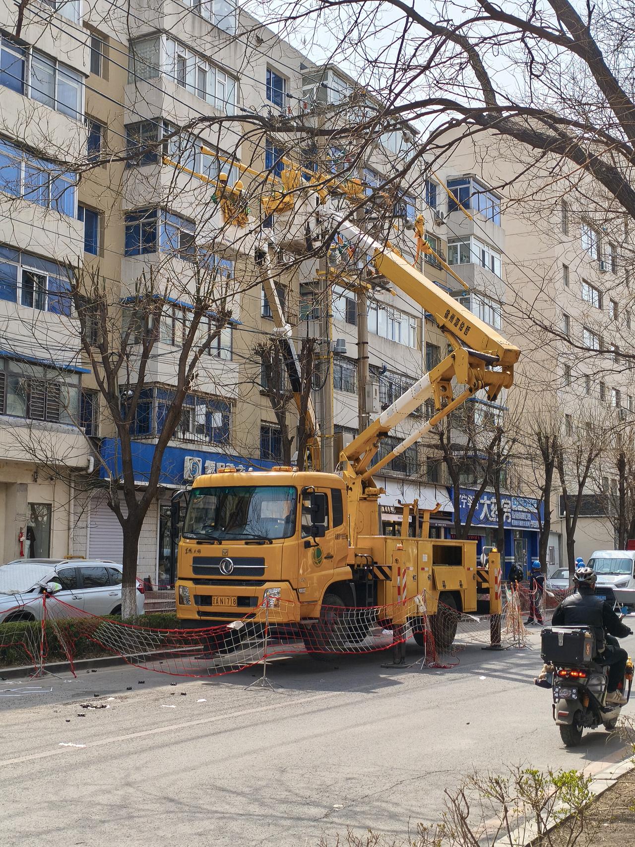 沈阳街头春日大动作！剪枝除絮，守护清爽一夏🌿今天路过沈阳街头，被这一幕暖