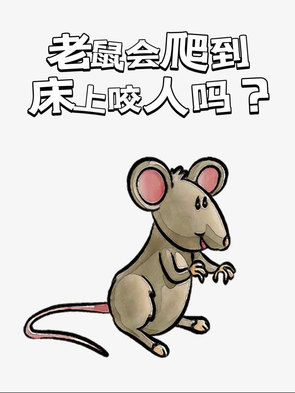 “30厘米长老鼠爬到2岁孩子床上”——光听这十几个字，血压就蹭地飙到天花板。视频