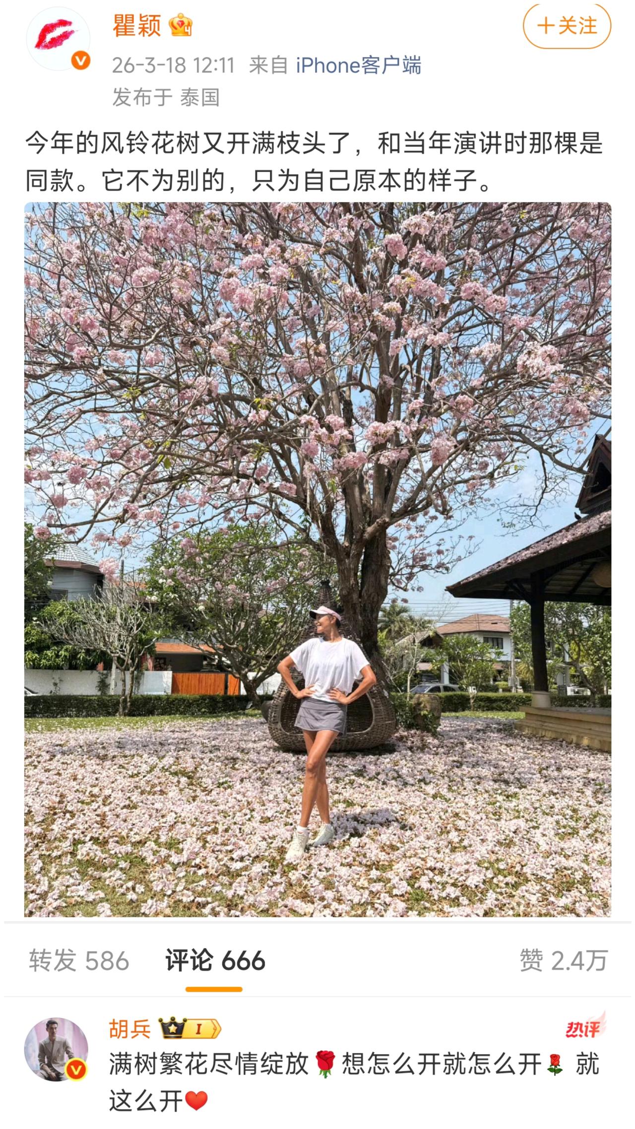 我好像明白了瞿颖说的那棵"同款"风铃花树原来是这个意思。不是怀念，是告别