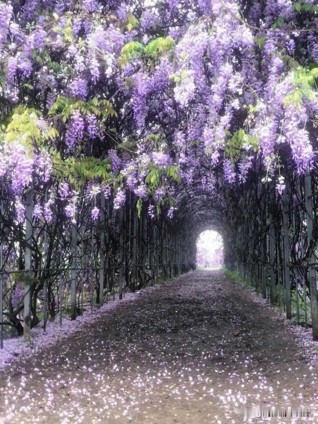 结婚7年，我最终没有斗过婆家我最终没有斗过婆家，离婚了，为了惩罚婆家重男轻女的刻