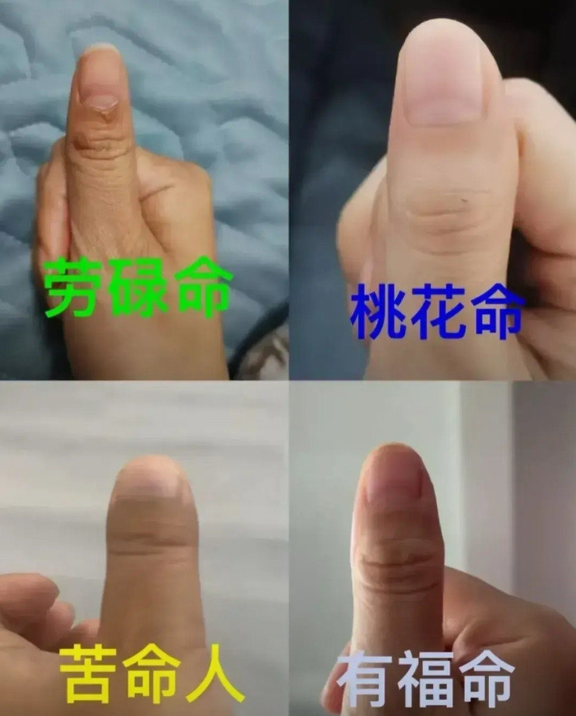 你是哪一种？