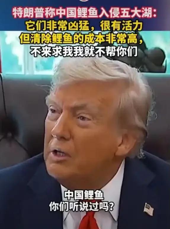 25日，特朗普在白宫椭圆形办公室批评伊州州长时又暴惊人言论:中国鲤鱼在