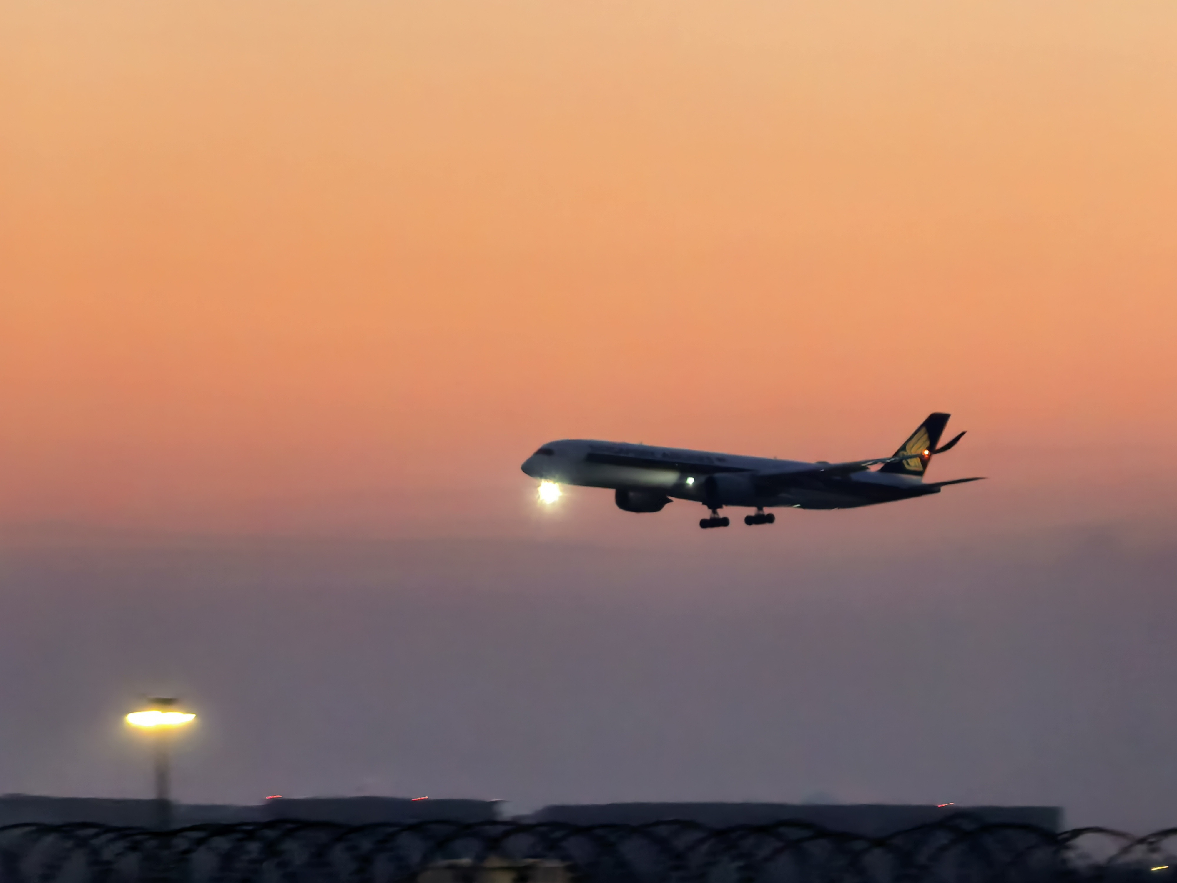 中国航司集体订购356架飞机南方航空137架（含旗下厦门航空35架）；东方航