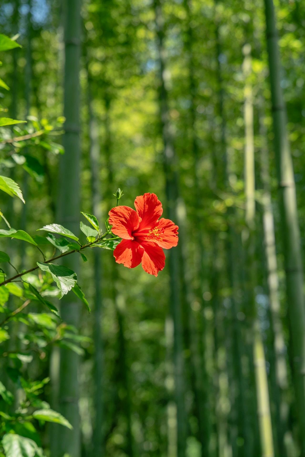 很厉害的一段话：“最可怕的是那种黑化后的好人，他们原本温柔善良，待人宽厚，可在
