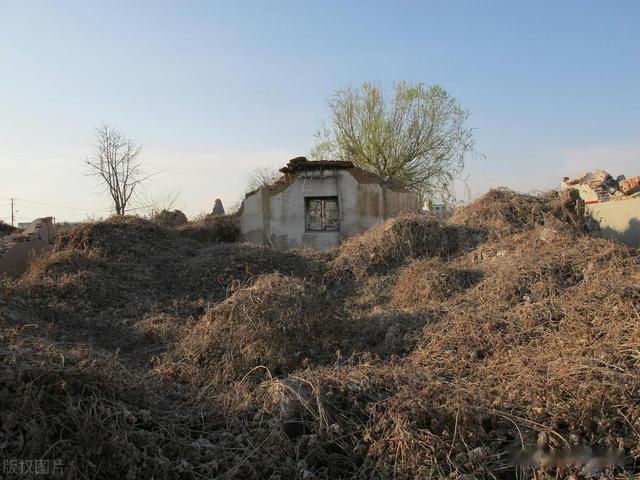 “坟上万物生土堆, 先富后贫子孙亏”, 原来扫墓要注意这事