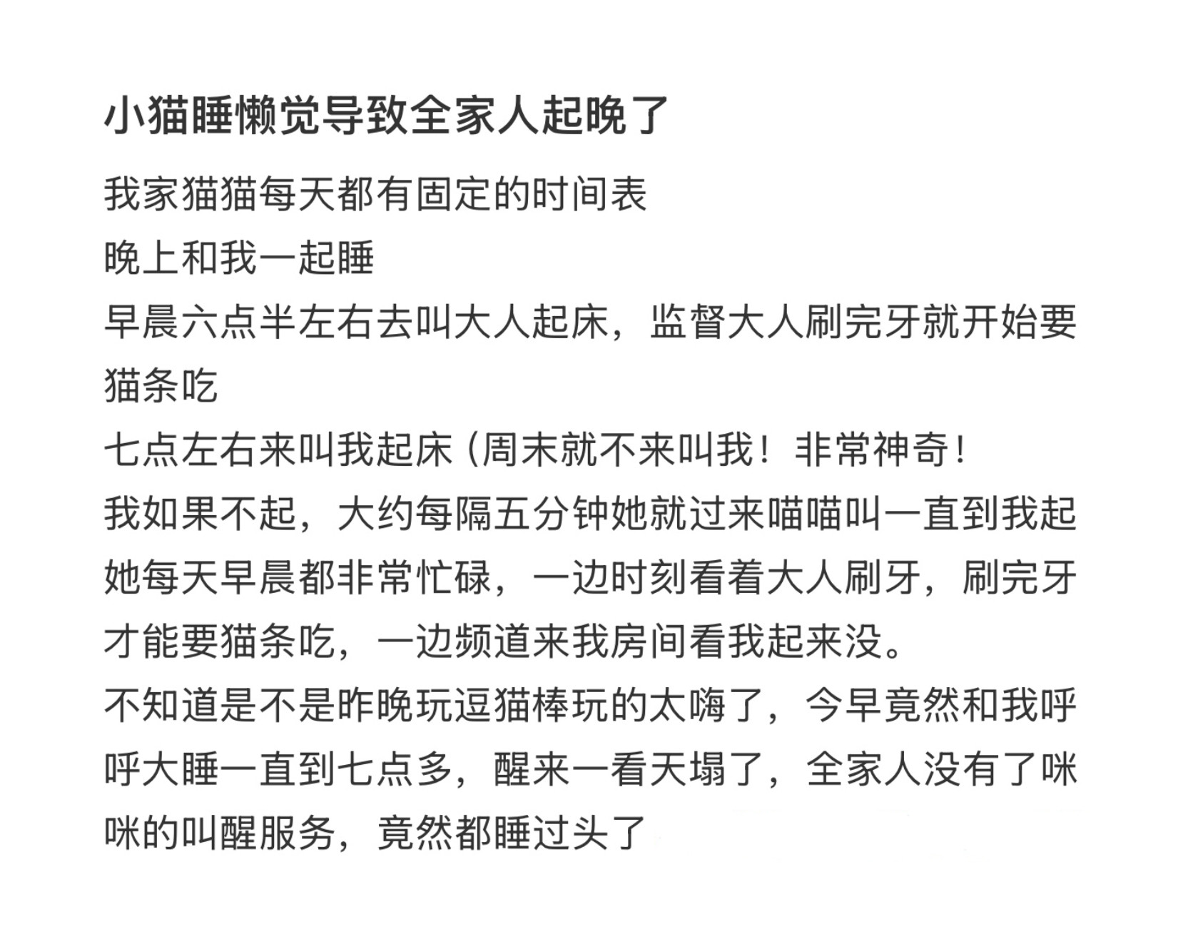 小猫睡懒觉导致全家人都起晚了​​​