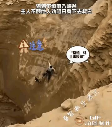 “暖心！”狗子跟着主人外出游玩，却不慎掉进了峡谷中，因峡谷太深了，狗子怎么努力也