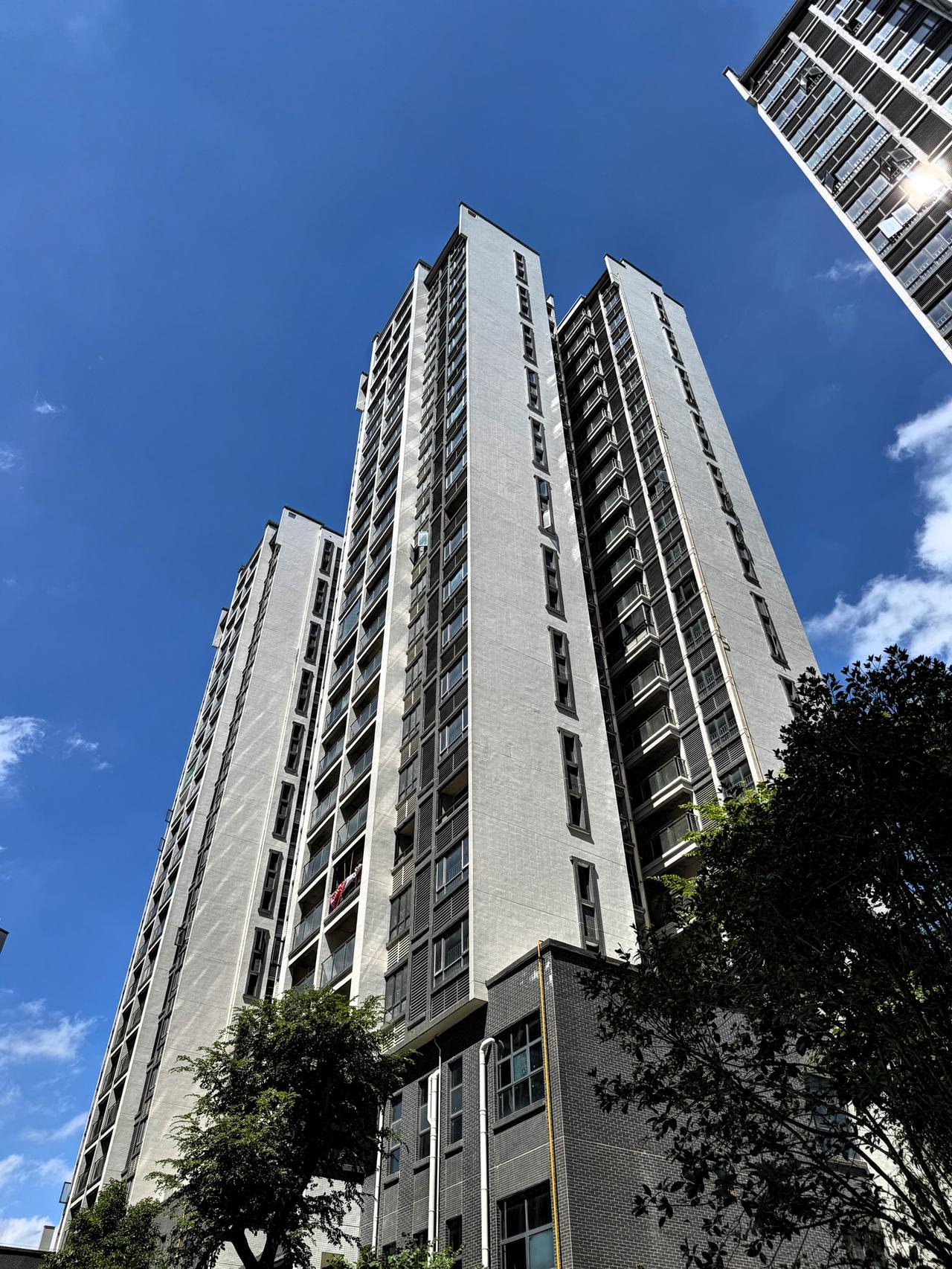 大家发现了吗？只要你说房价会上涨，保准一堆人跑来批评，他们还会建议你多买几套，偷