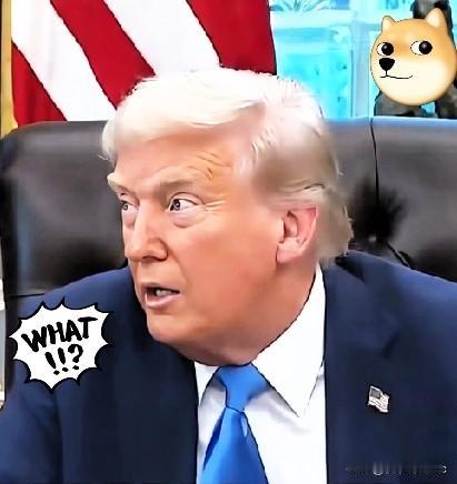 太可恨了，居然有人给特朗普支招！网友:在背后当狗头军师算什么本事！特朗普