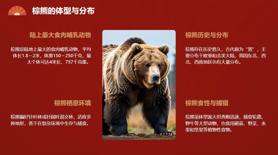 陆地上最大的食肉哺乳动物陆地上最大的食肉哺乳动物是棕熊。棕熊在地球上存在的时间相