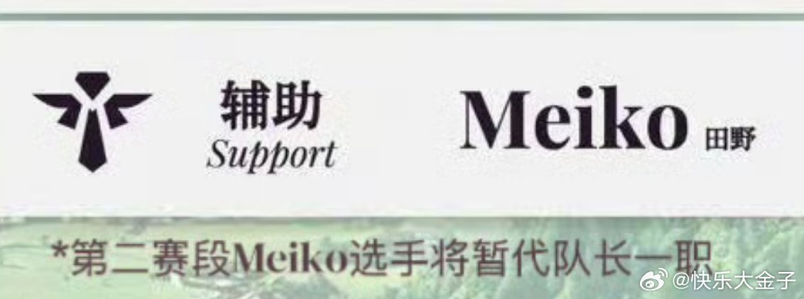 Meiko暂代iG队长田队回来了Meiko